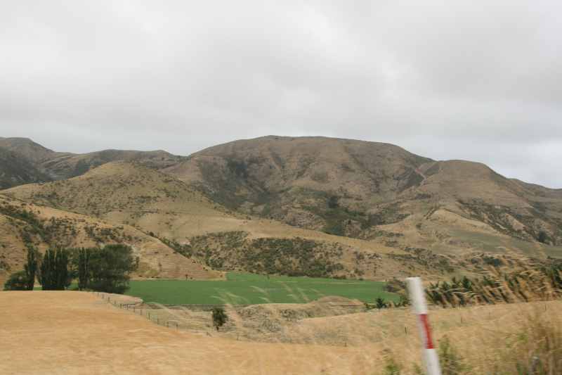 Nieuw-Zeeland 2011 - 1073